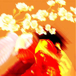 Meet your Posher, Vell